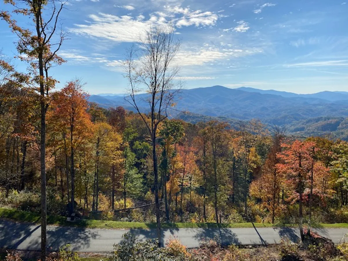 A breathtaking long-range view of vibrant autumn foliage cascading down the hills, with a distant mountain range under a clear blue sky. The landscape radiates seasonal beauty and tranquility, emphasizing the year-round appeal referenced in the section.